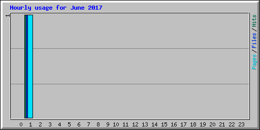 Hourly usage for June 2017